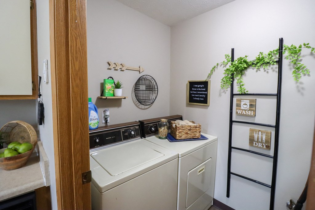 a laundry room with a washer and dryer and a shelf with a plant