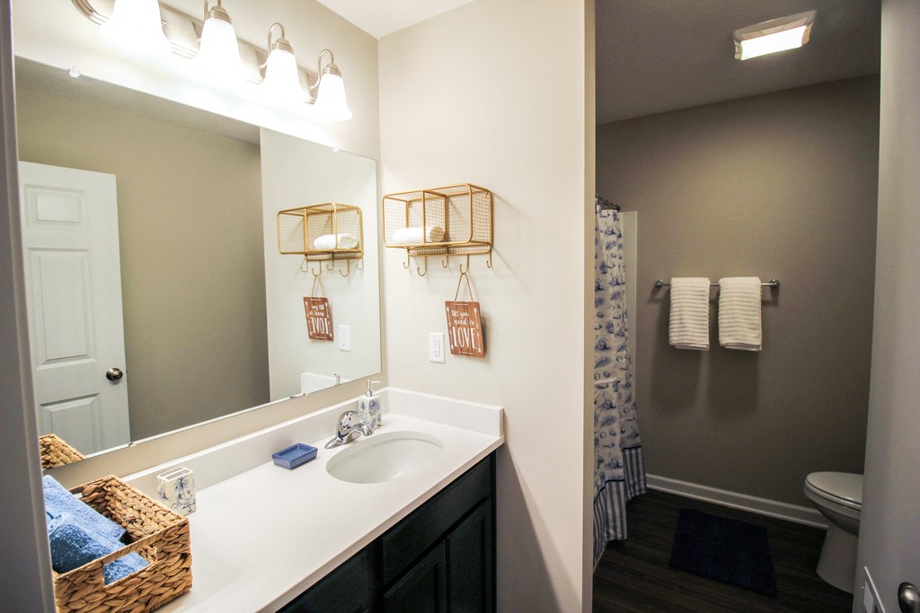 a bathroom with a sink and a toilet