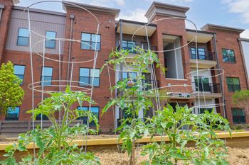 Marysville Flats Community Garden