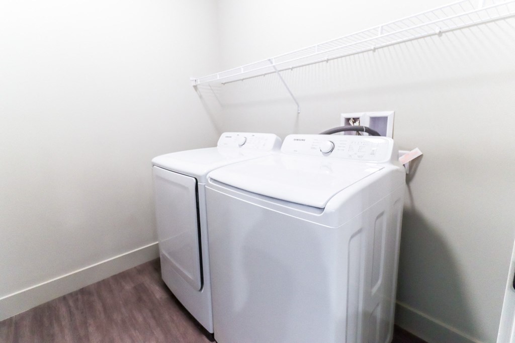 The Cody On Hamilton