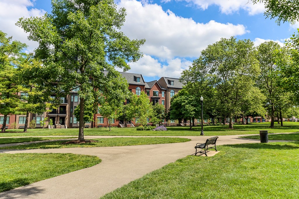 a park with a bench and trees