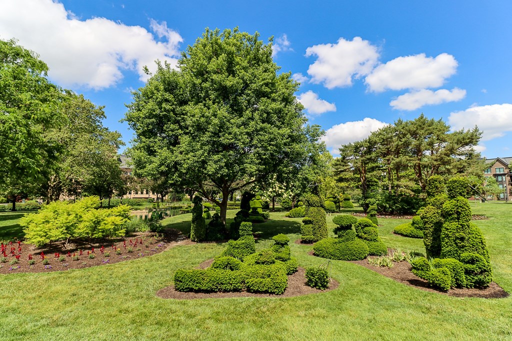 a park with trees and shrubs on a sunny day