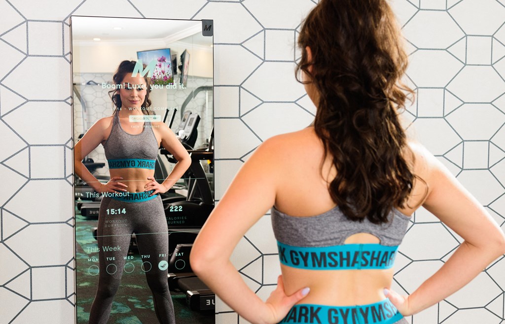 Luxe 23 24-hour Fitness Center Gym Mirror