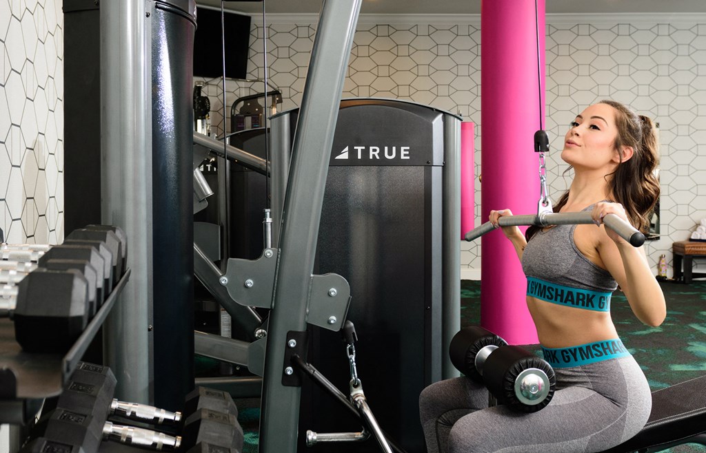 Luxe 23 24-hour Fitness Center Weight Machine