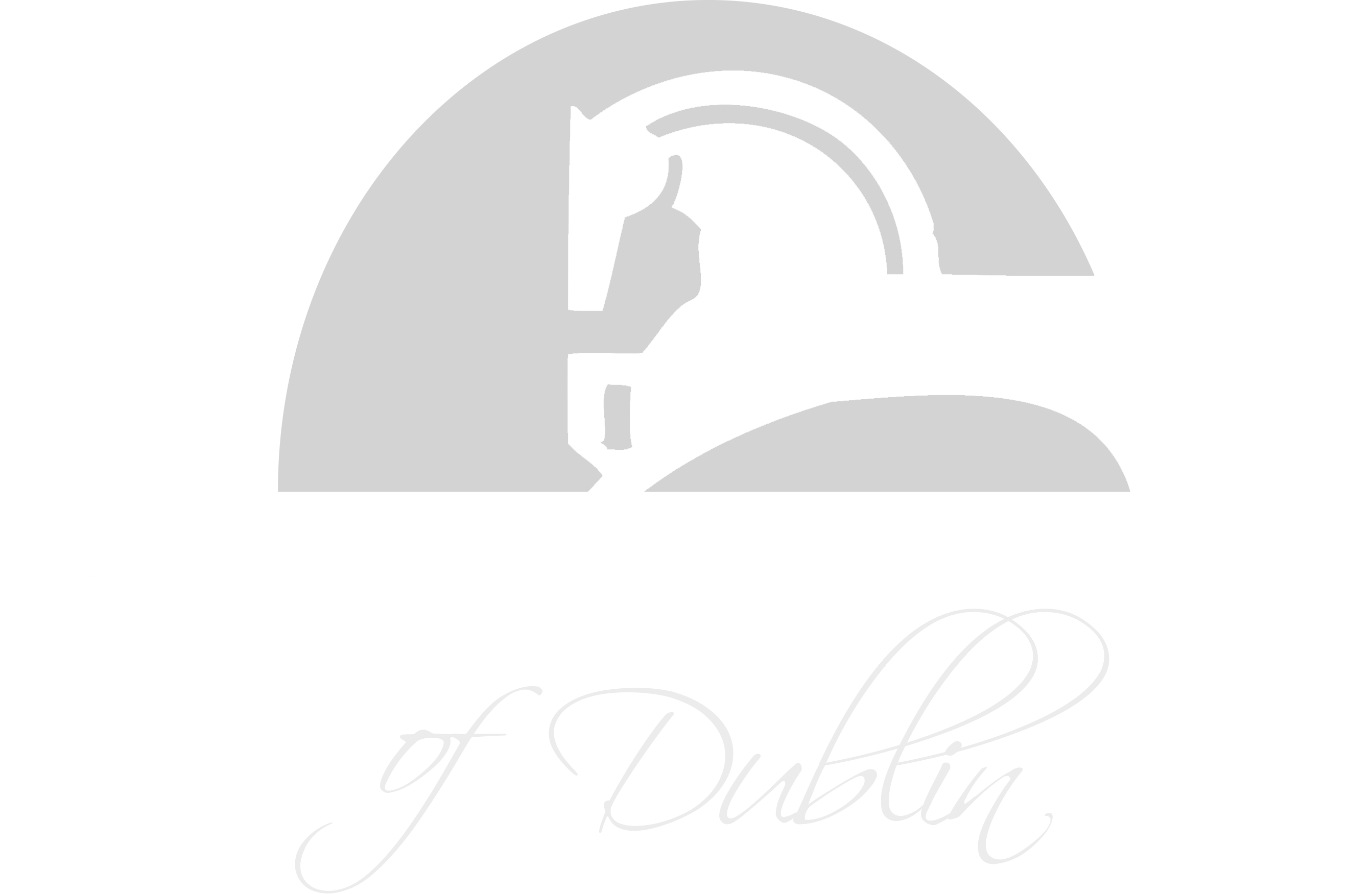 A logo with a black background and a white design of a horse and the words "Asherton of Dublin".
