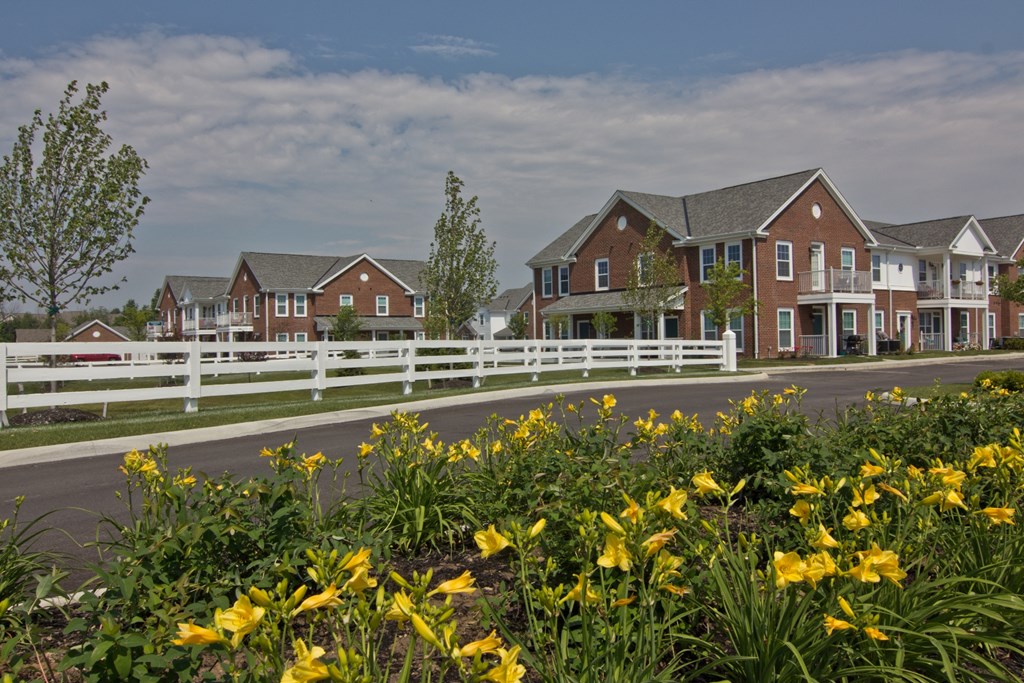 Field and flowers near road with fence to Albany Glen