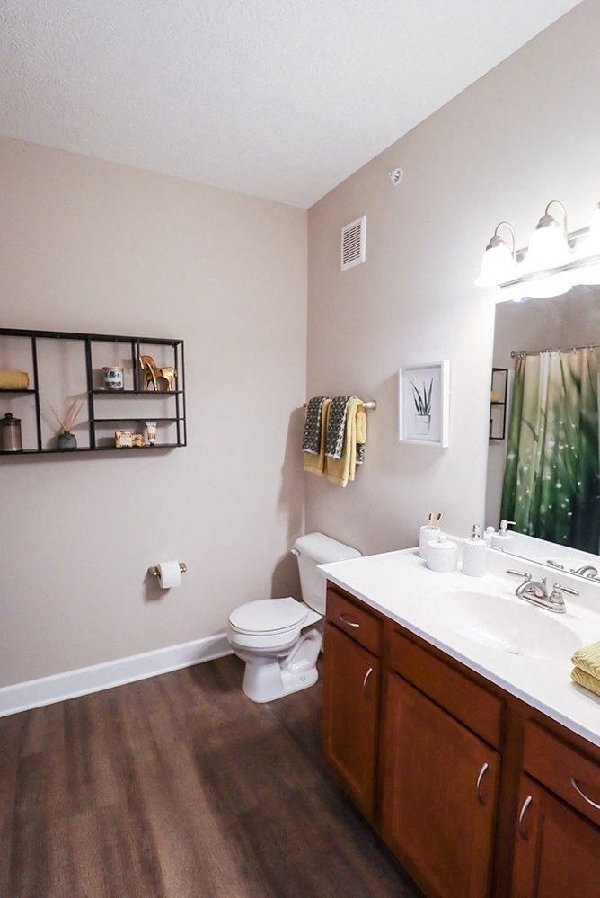 a bathroom with a toilet and a sink and a mirror