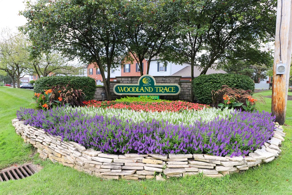 Woodland Trace