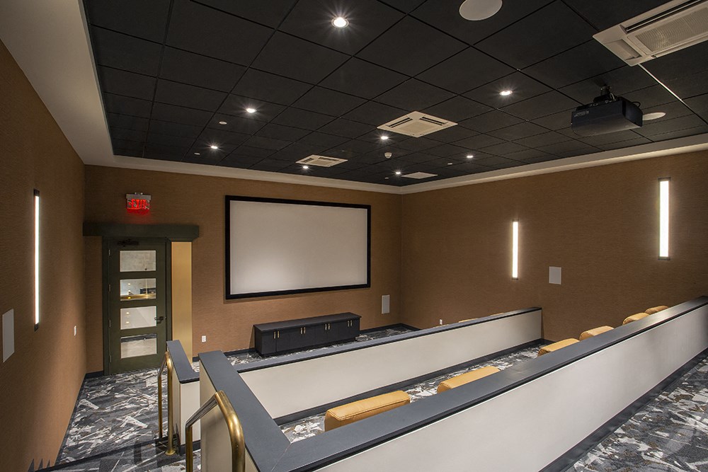 1 Martine Screening Room