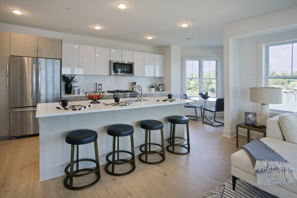 Open Designer Gourmet Kitchen