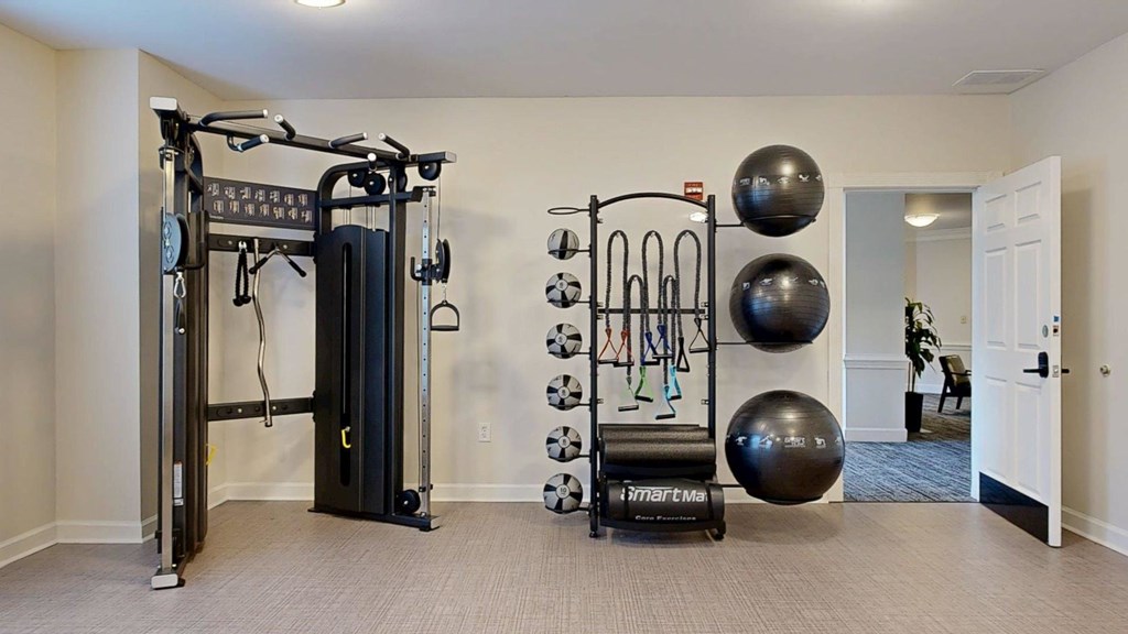 A home gym with a variety of equipment including a squat rack, dumbbells, and a stability ball.