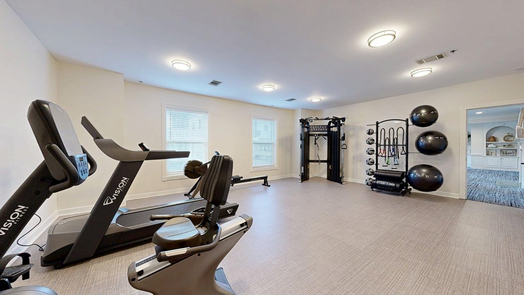A home gym with a treadmill and exercise balls.