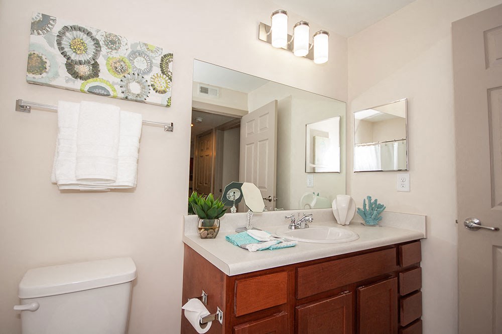 Large Bathroom at Centennial Place in Atlanta, Georgia