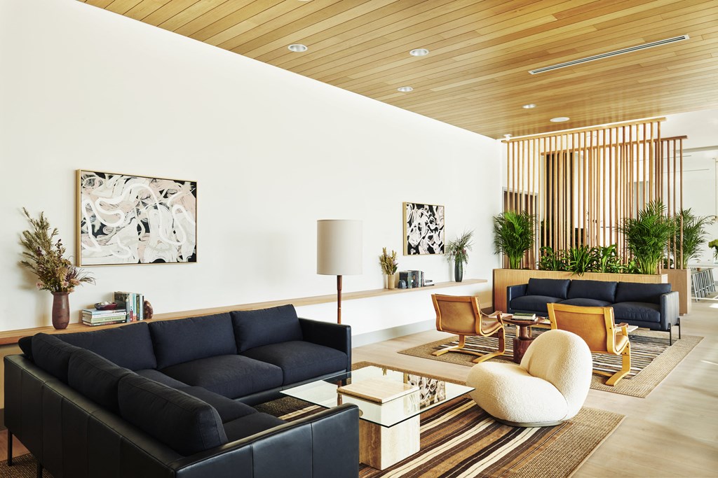 Downtown New Orleans Luxury High-rise Apartment