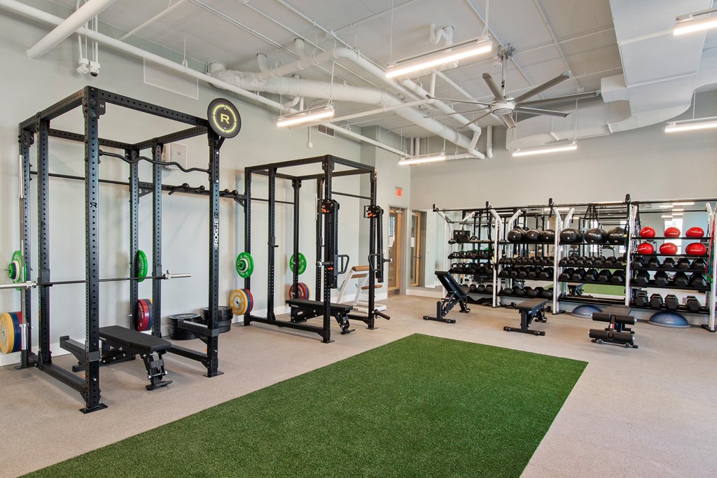 Downtown New Orleans Luxury High-rise Apartment