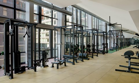 A gym with a variety of equipment including weight machines and free weights.