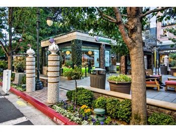 A street view with a green tree, a red curb and a sign that says