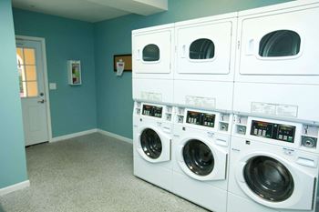 A row of white washing machines in a laundry room.