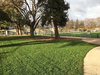 A park with a grassy area, trees, and a walking path.