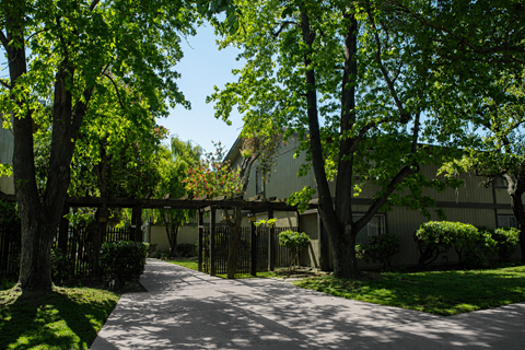 A tree-lined pathway leads to a building.