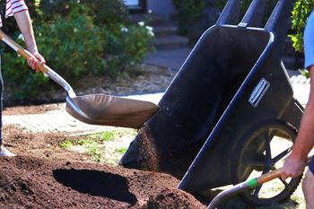 A shovel is being used to scoop up dirt from the ground.