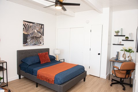 studio in san carlos