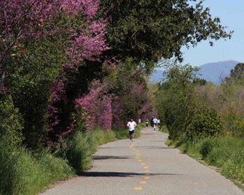 a group of people running down a road