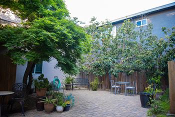 shared courtyard space at this community with green trees and plants where you can sit, read a book, and enjoy your morning cup of coffee
