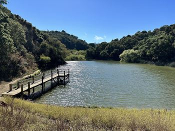 Dock on the local lake at Waterdog Lake and Open Space