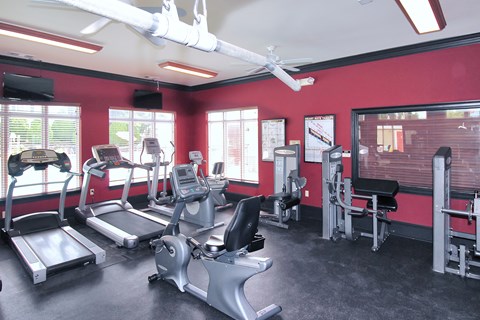 A gym with treadmills, exercise bikes, and other equipment.
