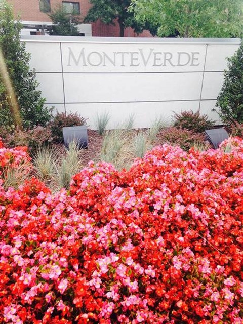 A sign that says Monteverde in front of a building.