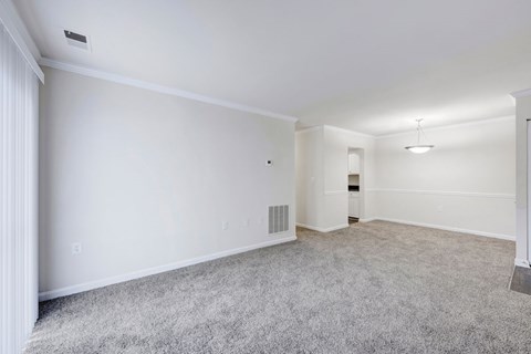 A spacious room with a grey carpet and white walls.