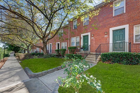 A tree with green leaves is in front of a brick building.
