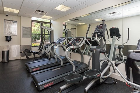 A gym with treadmills and elliptical machines.