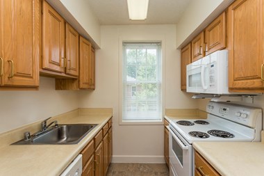 4108 4Th St. North, Suite 100 Studio-3 Beds Apartment for Rent - Photo Gallery 1