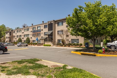 A large building with a green tree in front of it.