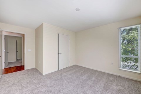 A room with a carpeted floor, two doors, and a window.