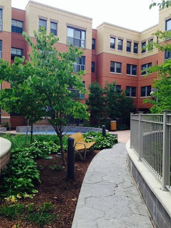 Courtyard 1 - Photo Gallery 3