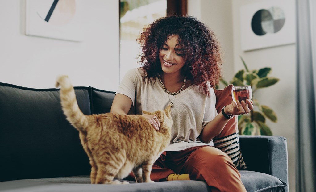 A woman is sitting on a couch with a cat on her lap.