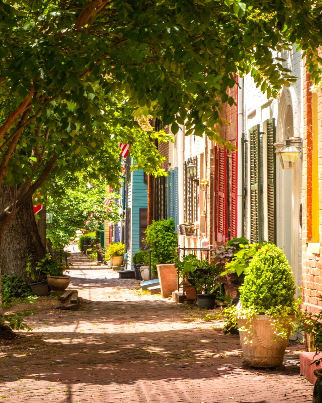 A tree-lined brick pathway leads down a quiet street.