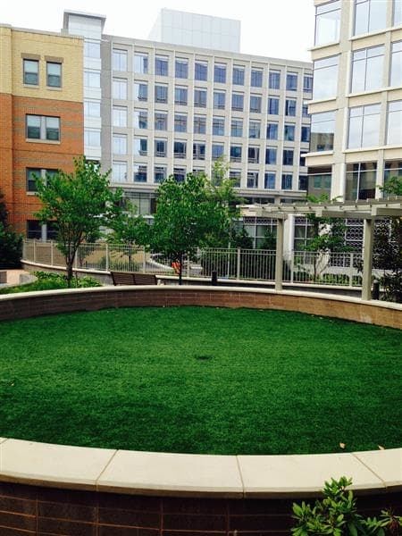 A green lawn in front of a building.