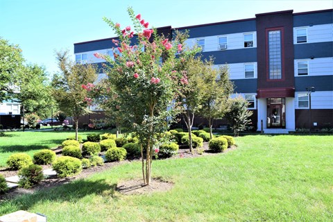A tree with red flowers in front of a building.