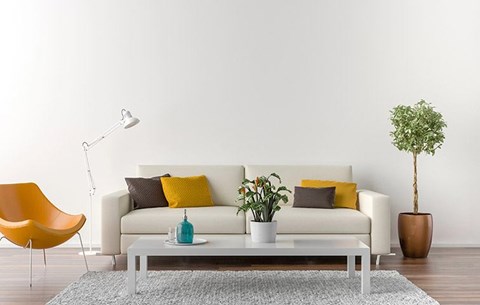 A living room with a white couch, a yellow chair, a white coffee table, and a potted plant.