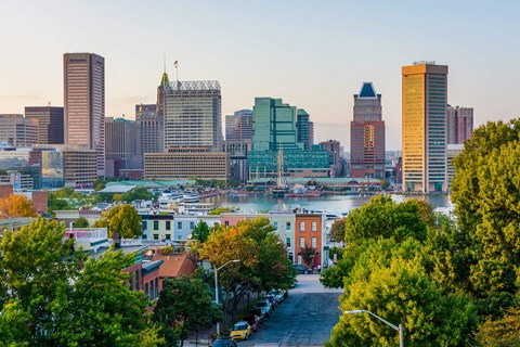 A cityscape with a mix of modern and older buildings, a river in the middle, and a tree-lined street in the foreground.