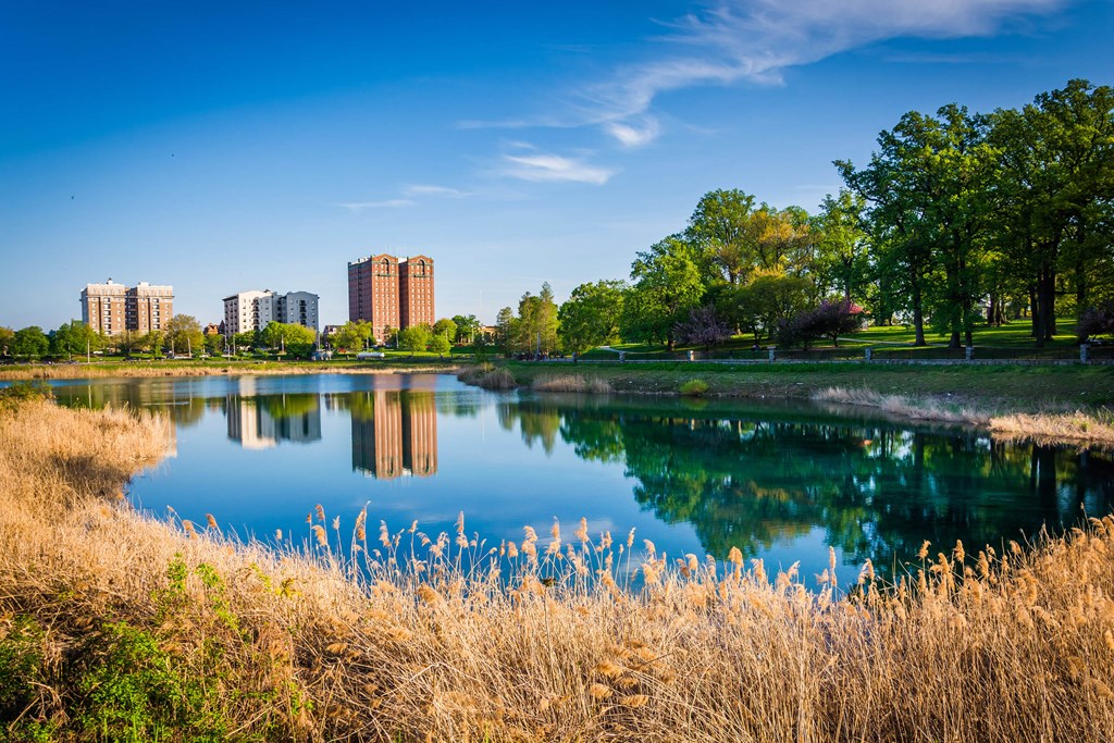 A serene landscape with a lake, reeds, and buildings in the distance.