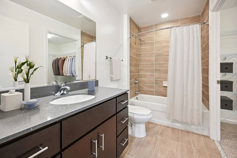 Modern bathroom with wood tile surround tub at The Premier Apartments, Silver Spring, MD