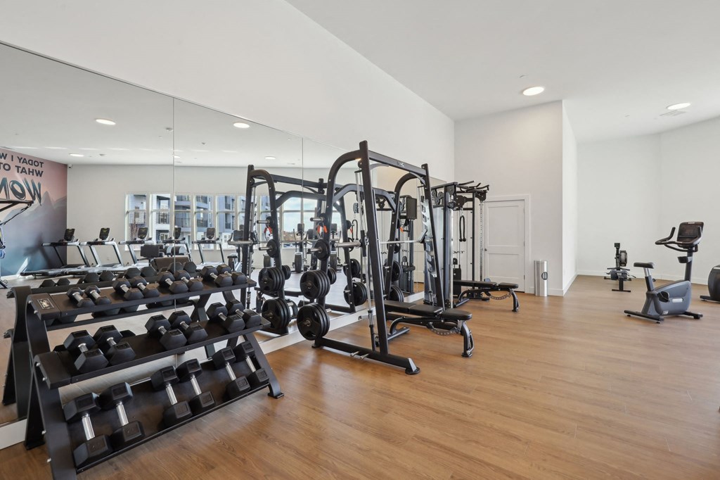 A gym with a variety of equipment including dumbbells, weight plates, and a squat rack.