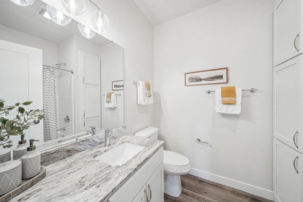 a bathroom with a sink and a toilet and a mirror