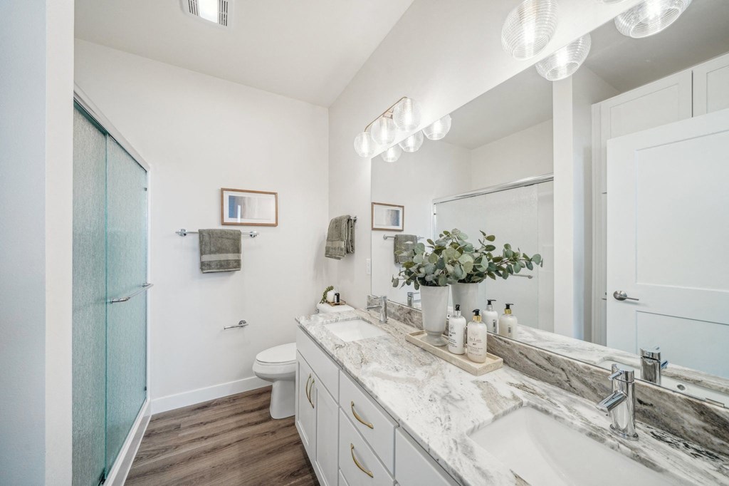 a bathroom with a sink and a toilet and a shower