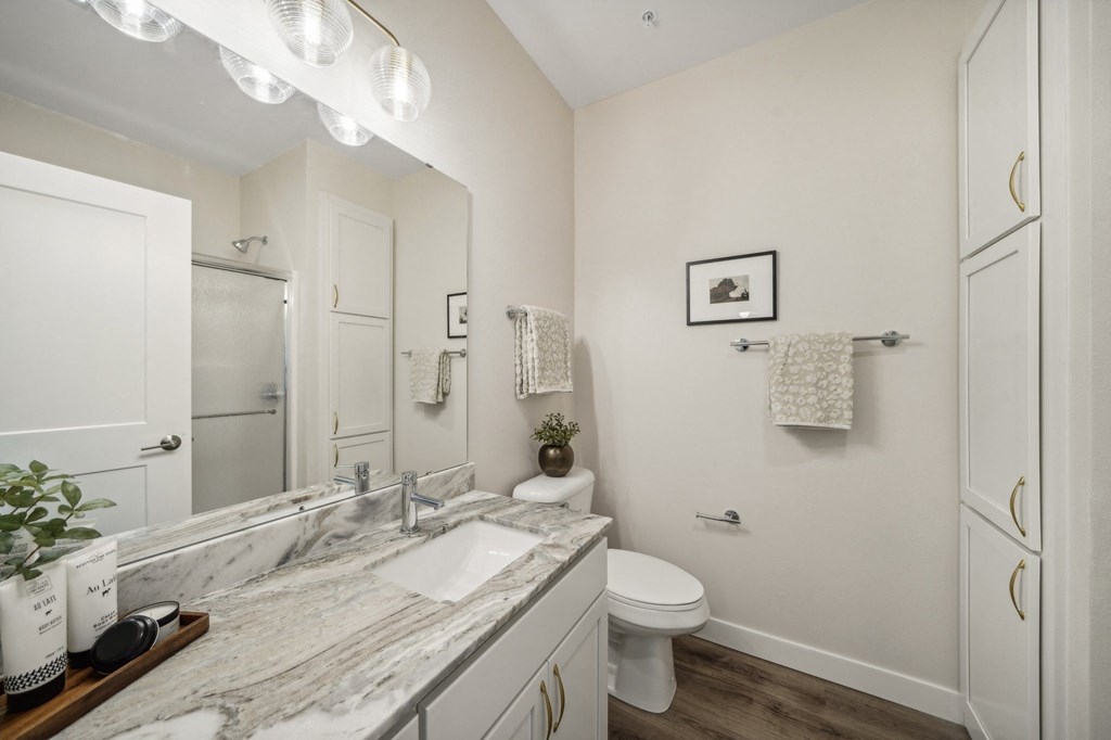 a bathroom with a sink and a toilet and a mirror
